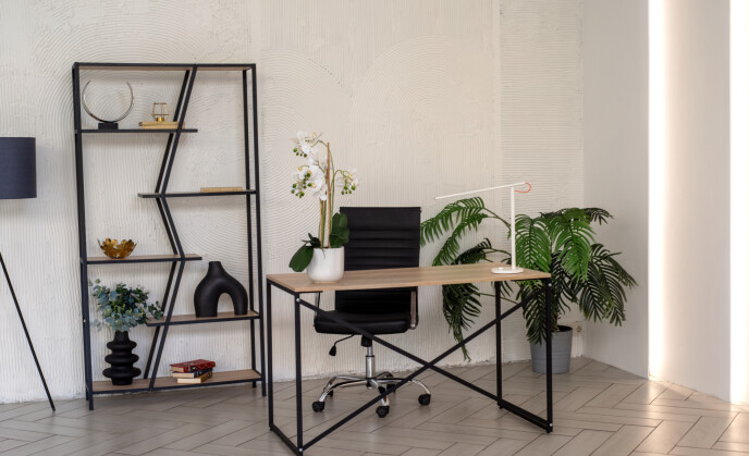 Bohema [богема]