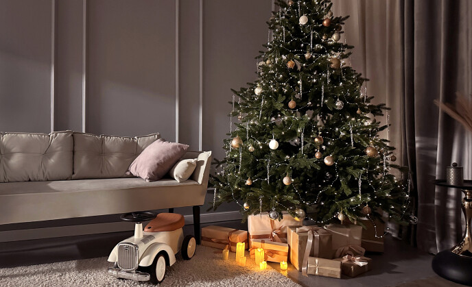 Фотостудия Студио Жар