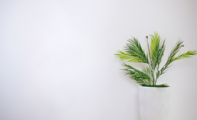 Фотостудия Студио Жар