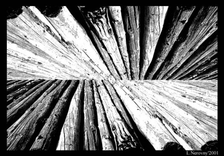 Woods