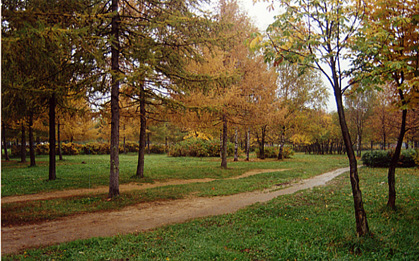 Дорога,осени.
