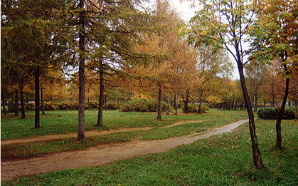 Дорога,осени.