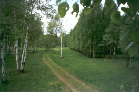 Дорога через парк