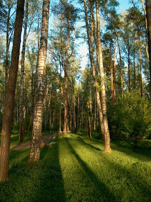 Природная перспектива