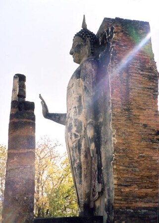 Buddah