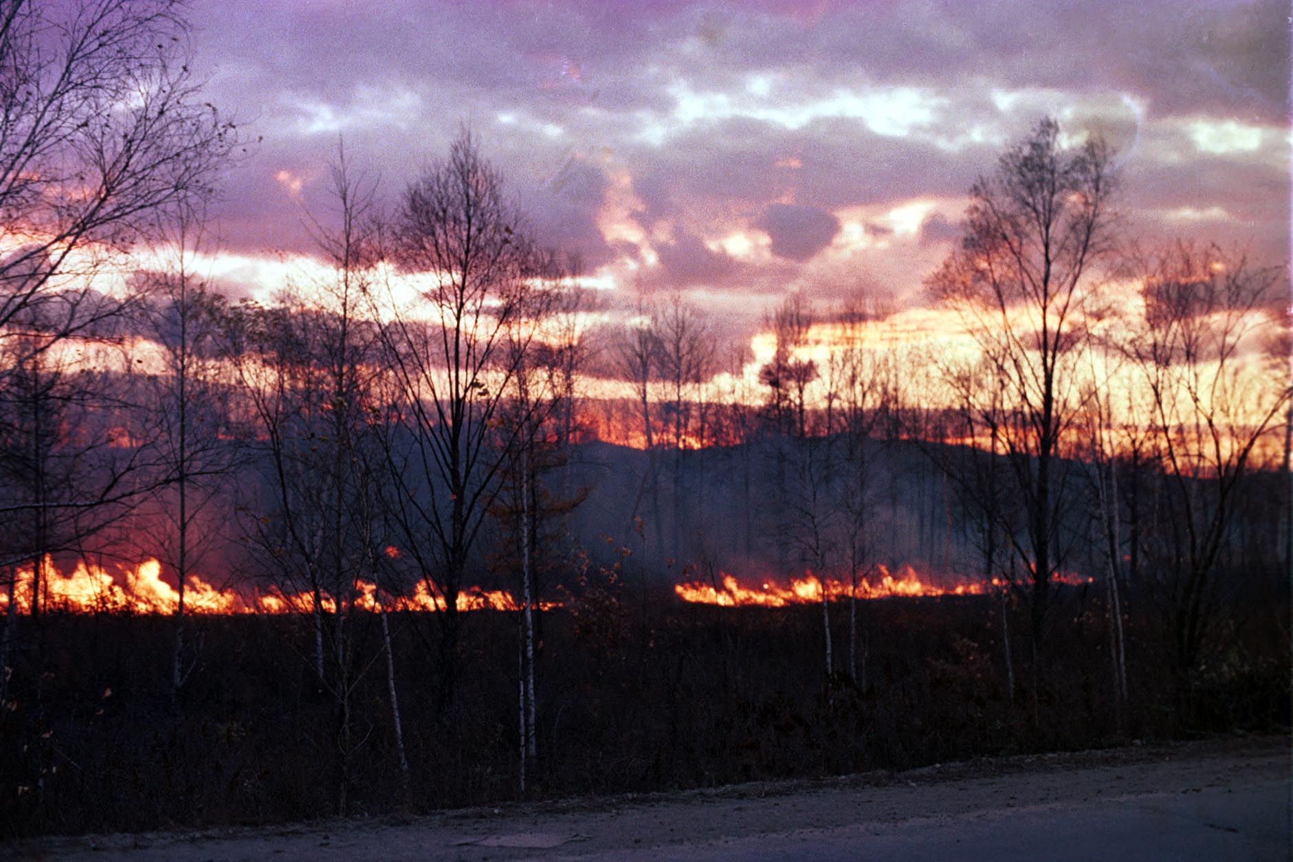 Лесной пожар