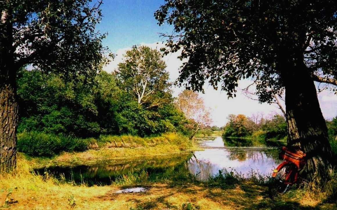 Благодать (4)