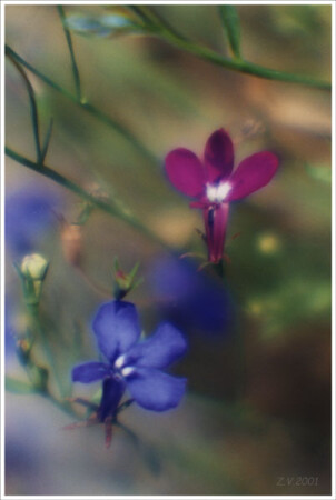 Неправильное макро