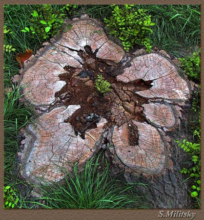 Жажда жизни