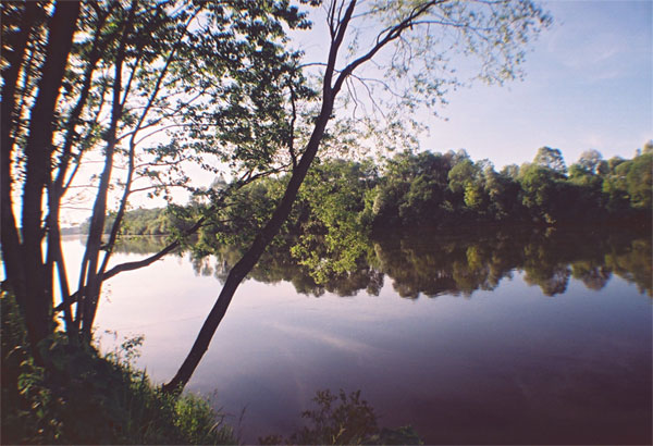 Gauja