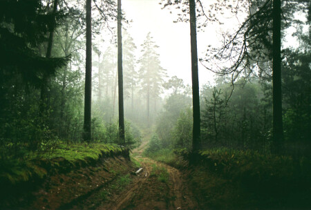 после грозы