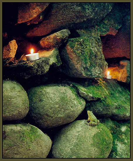 The Prayer of the Frog