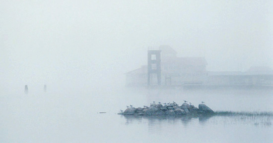Silence of Finland