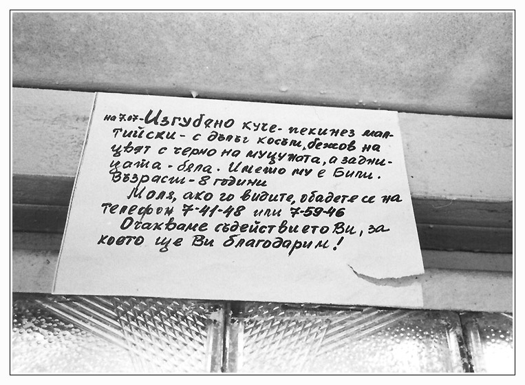 Фото ради факта: "Бежов на цвят, а задницата - бяла..."