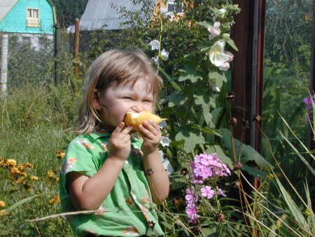 Плод зрелости