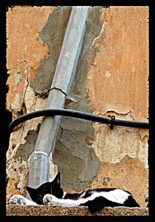 barelief