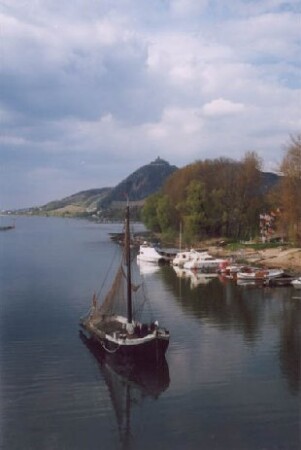 "Старый Рейн"