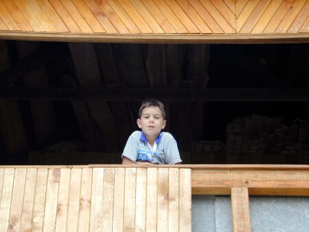 Портрет в полоску