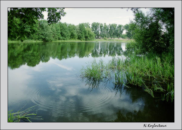 Тишина