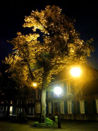 Altstadt2 (zolotaya osen')
