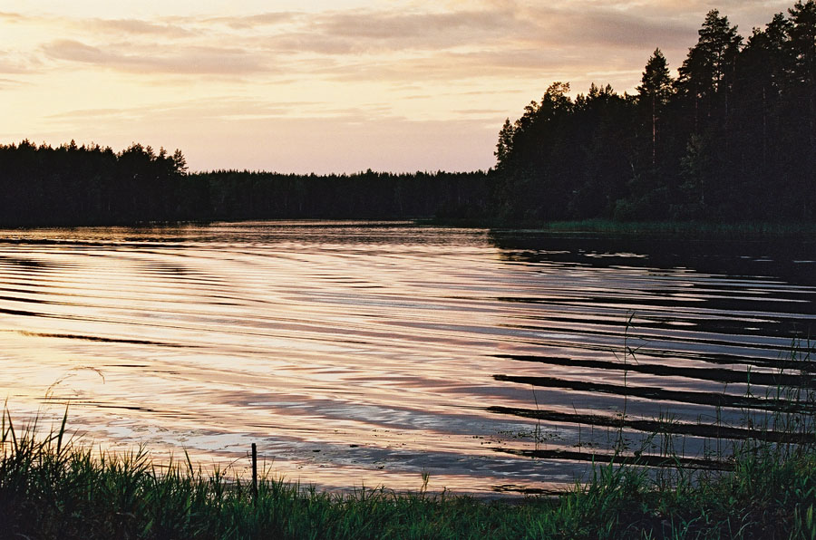 Золотая вода