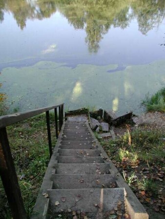 Вход В Реку