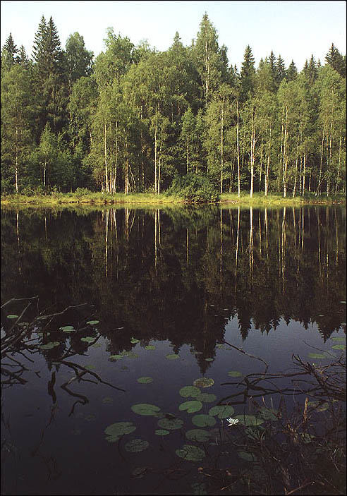 Черное озеро