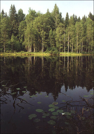 Черное озеро