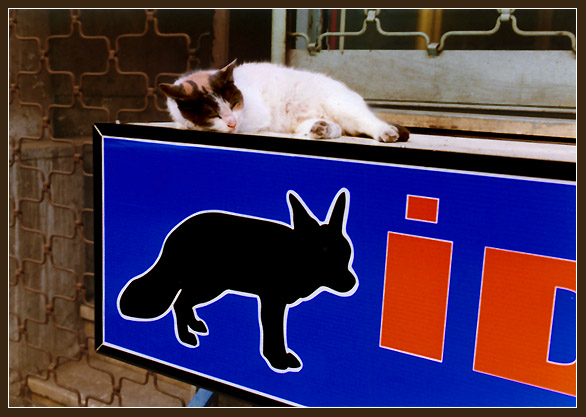 Кошкин ID