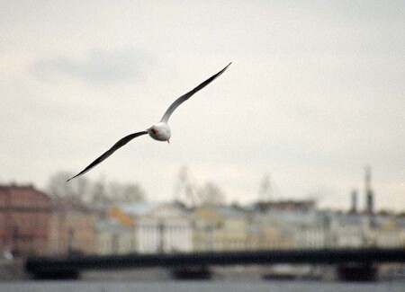St-Petersburg, city centre