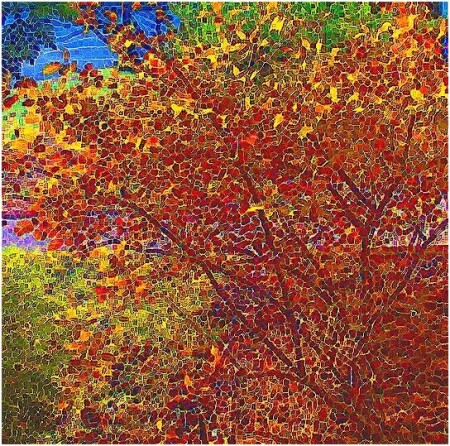 Осенние мотивы 2