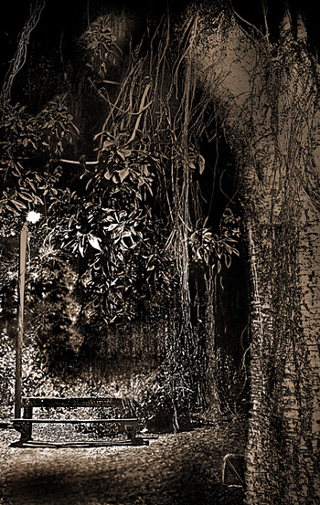 Night park (repost)