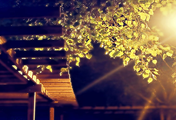 Night park2