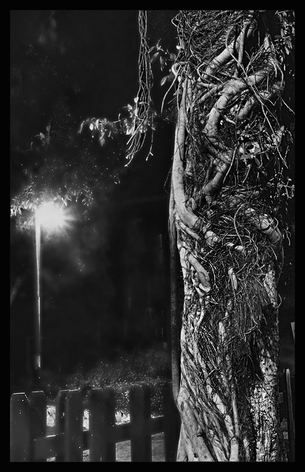Night park3