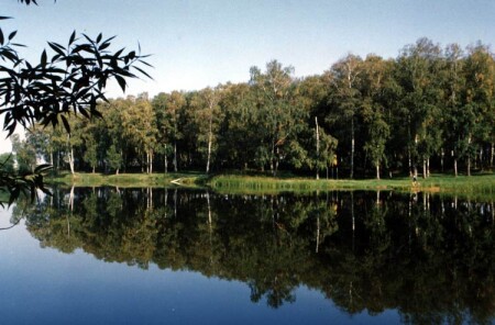 Числитель&amp;знаменатель, или просто пруд