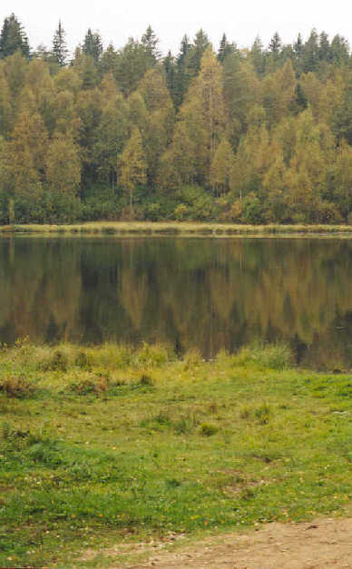 Ozero