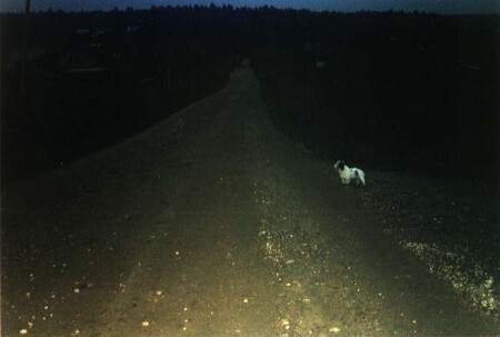 Уступи дорогу