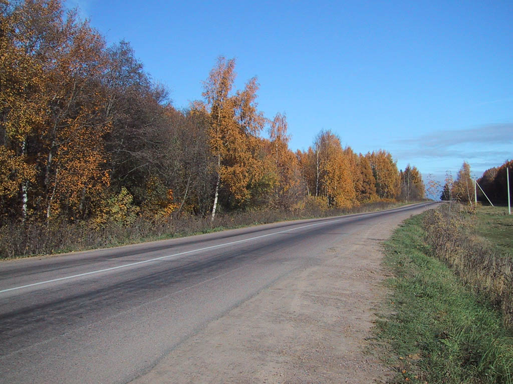 Дорога в осень
