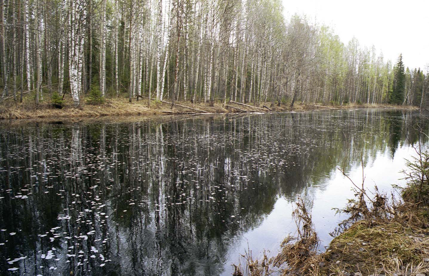 Весна