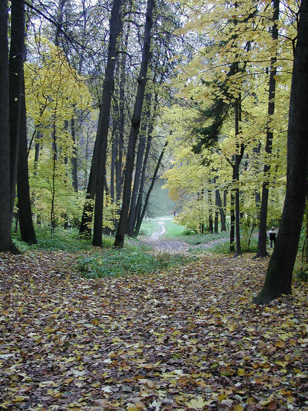 царицыно