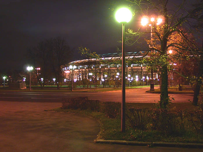 Лужники