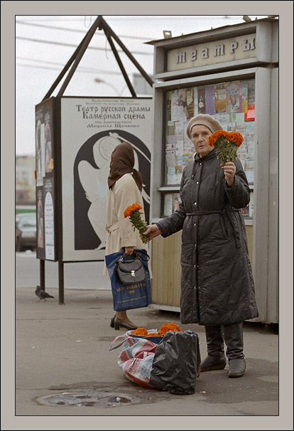 Маргарита