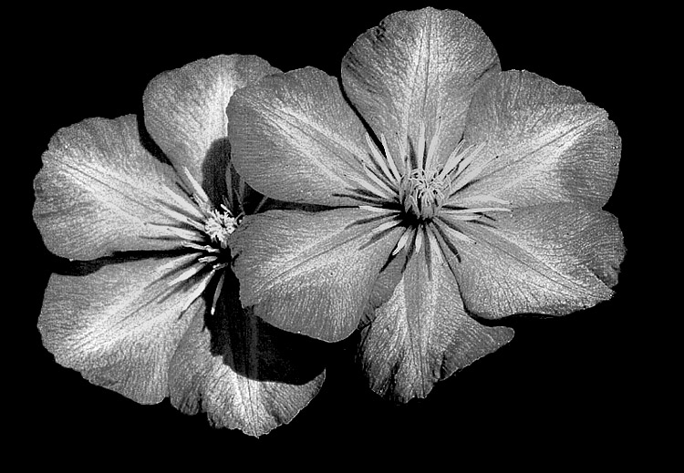 Black&White