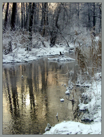 золотая река
