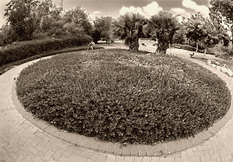Площaдь кругa