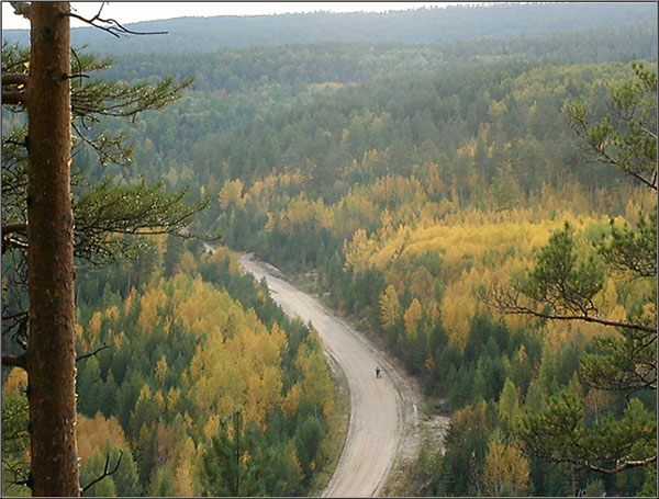 Дорога сквозь осенний лес...