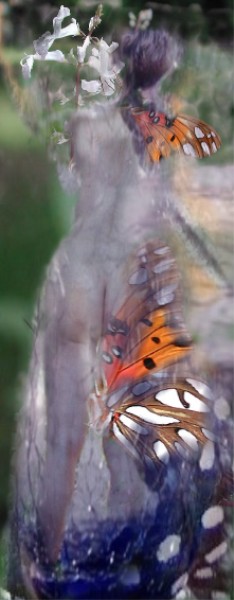 Mme Butterfly