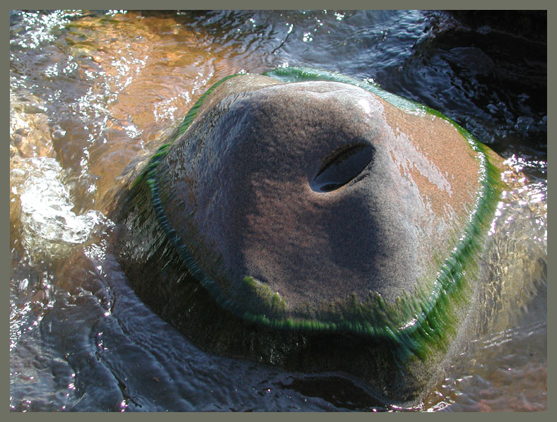 нос