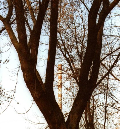 Лишняя ветвь