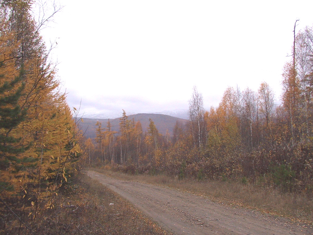 САЯНСКИЙ ПЕЙЗАЖ